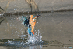 昨日の水出　其の弐