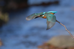 よ～い　ドン！