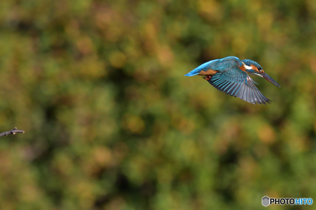 反射神経が鈍いですわ～(^_^;)