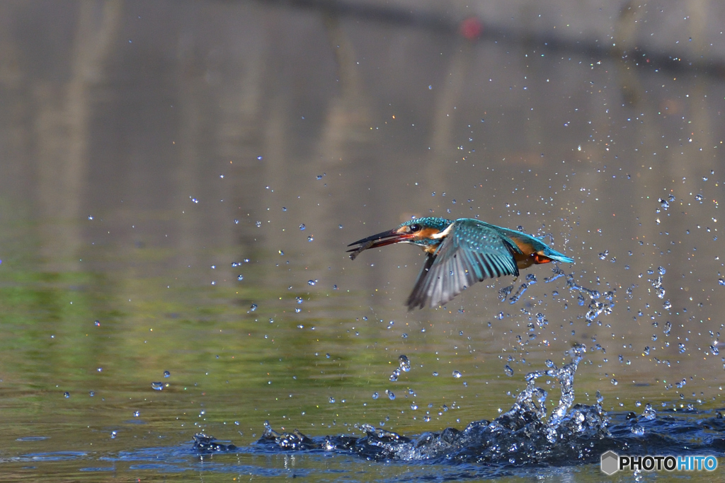 飛び出し　其の壱