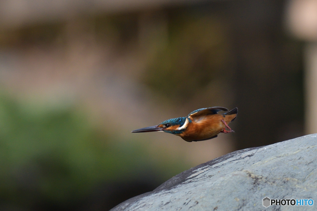 よーいドン　其の弐