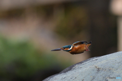 よーいドン　其の弐