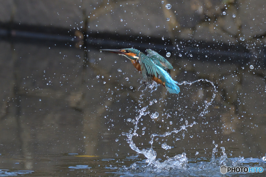 水の輪潜り