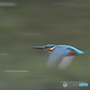 流し撮りトライ　精度ＵＰ？