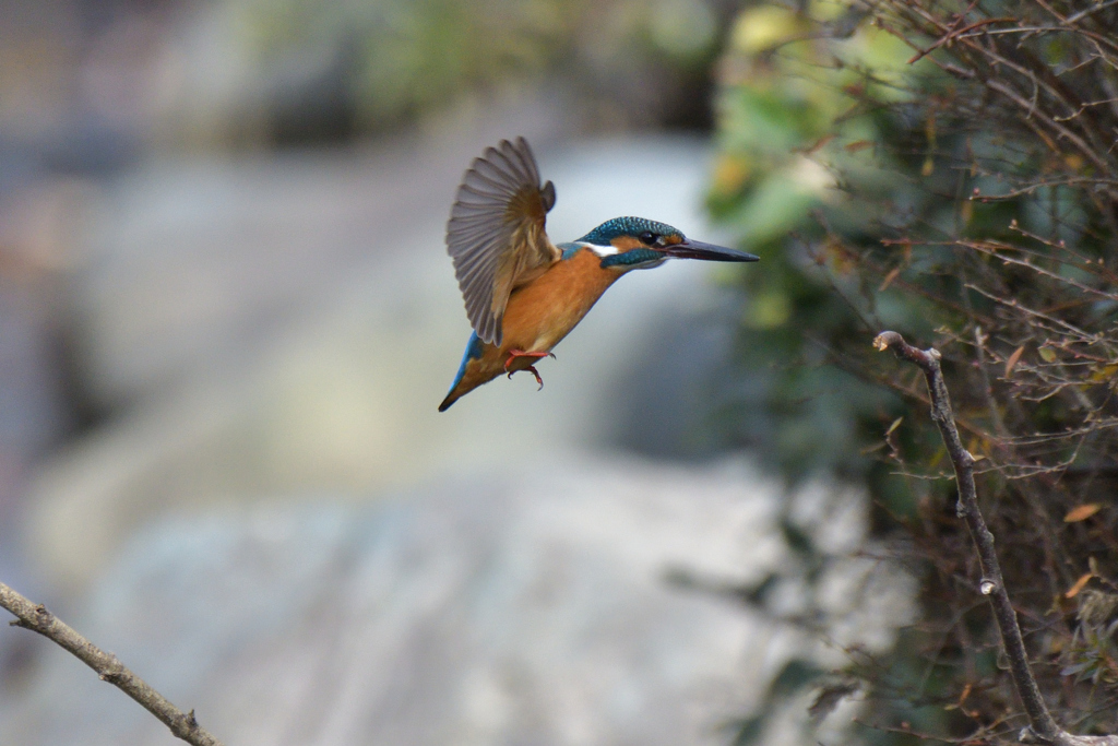 ちょっとブレーキ