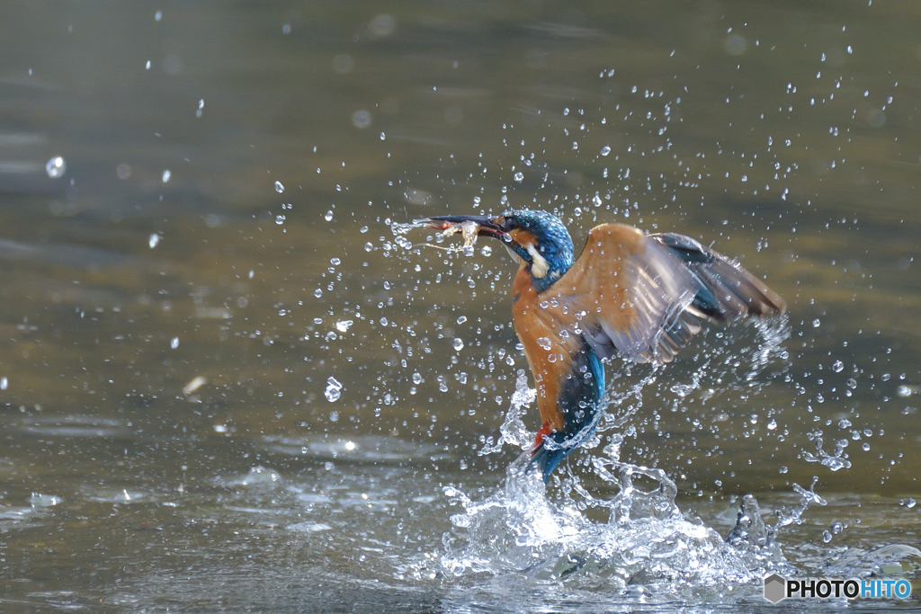 水出（後ろ向き）