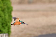 未来に向かって