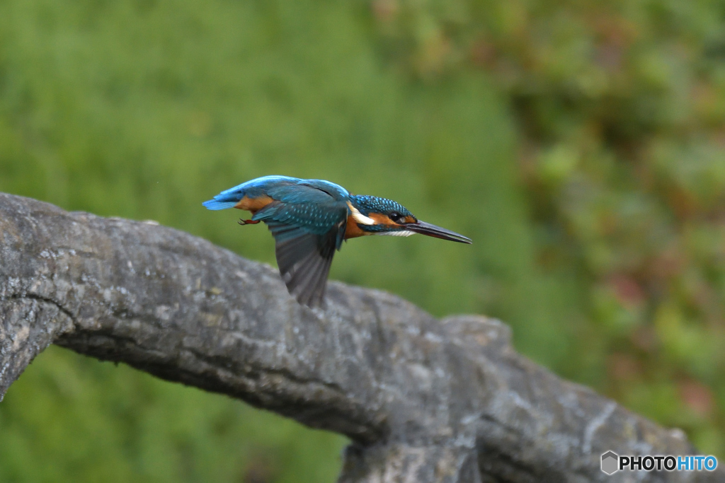 よーいドン　其の壱