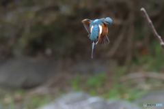 狙い撃ち
