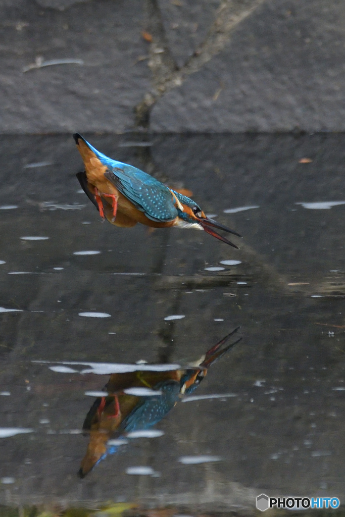 お尻を見つめちゃ イヤ～ン