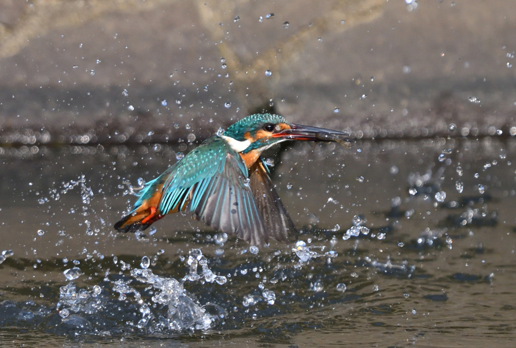 水出