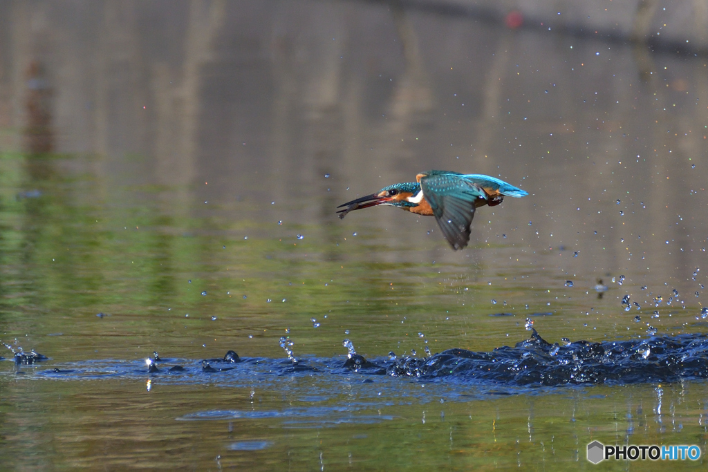 飛び出し　其の弐