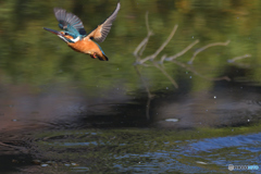 明日に向かって