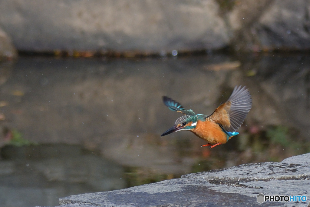 ホップ　ステップ　ジャ～ンプ
