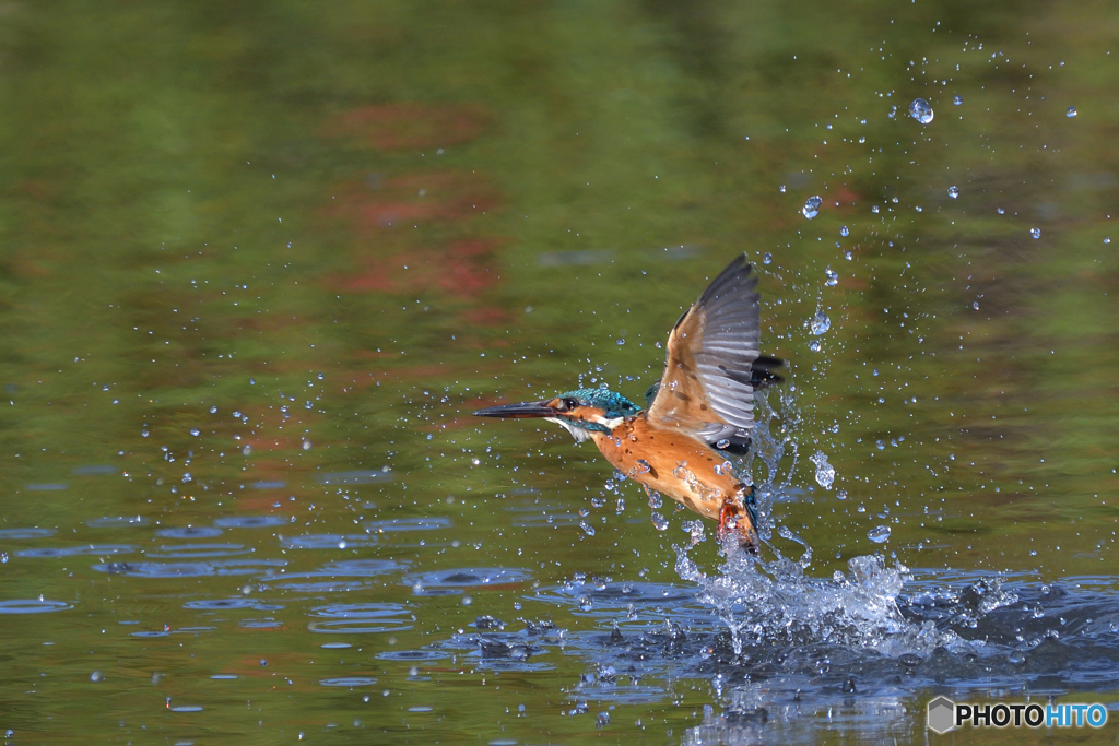 失敗しちゃった(^_^;)