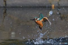 勝手に撮るんじゃないわよ！