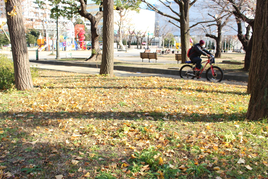 冬の公園にて、急ぐ人。