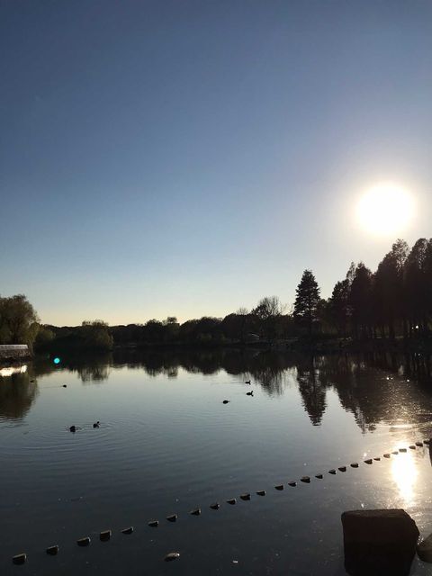 冬。近くの公園にて。