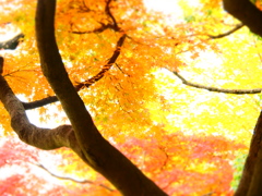 総持寺にて3