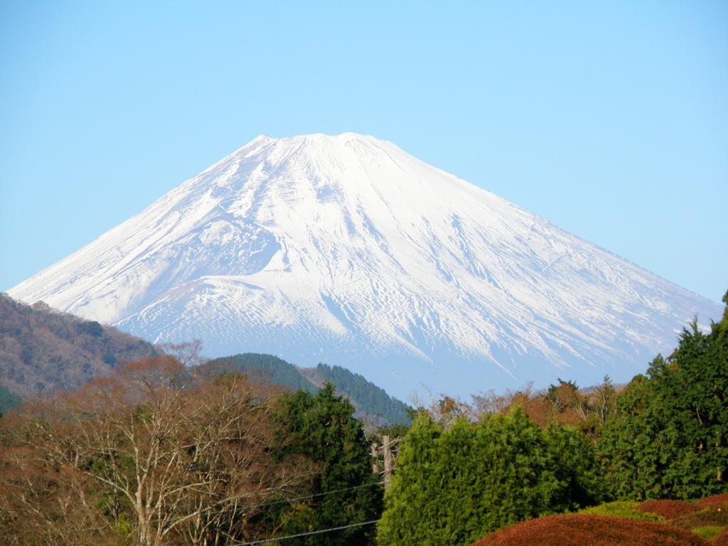 箱根からの富士を眺める