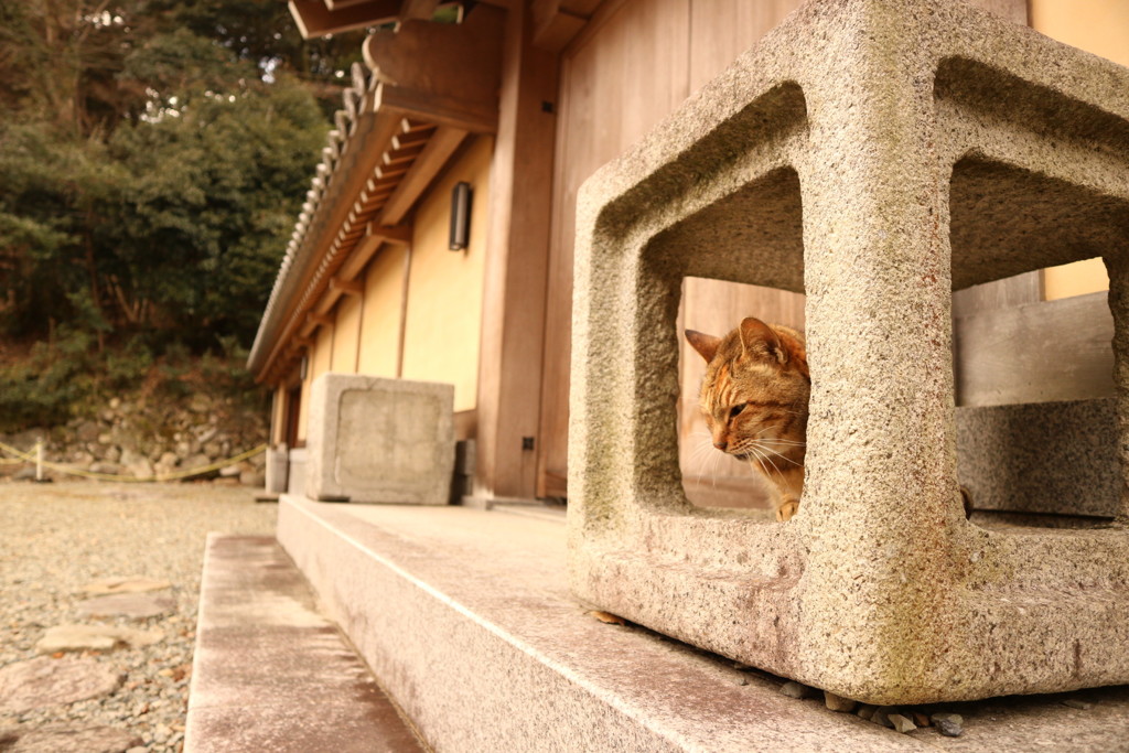 ここが落ち着くんです。