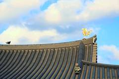 制空権争い