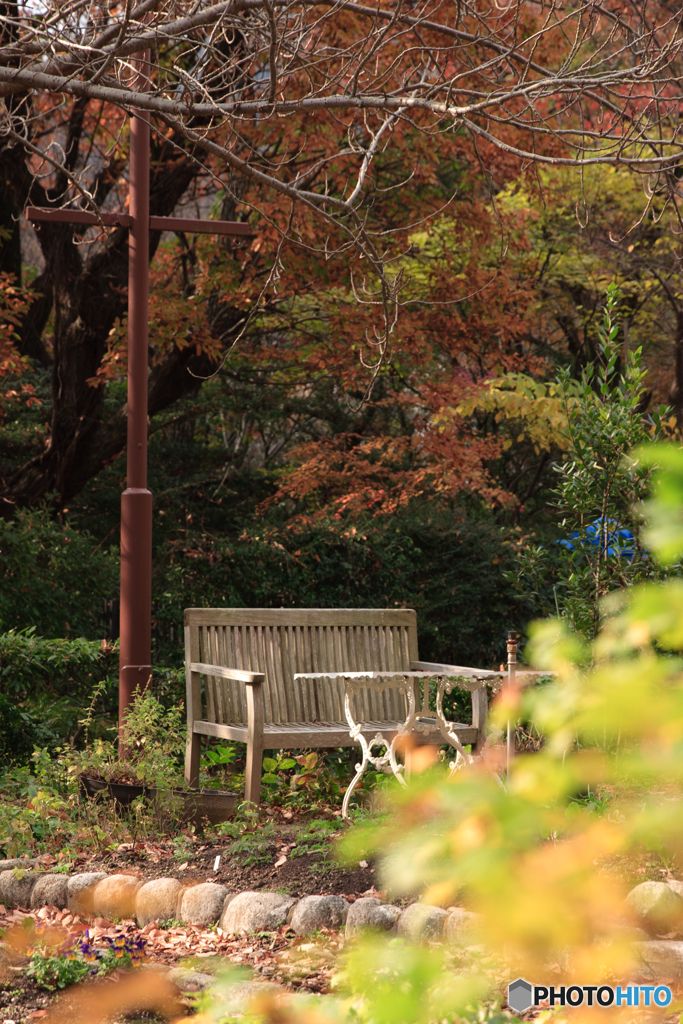甲山森林公園にて