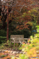 甲山森林公園にて