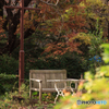 甲山森林公園にて