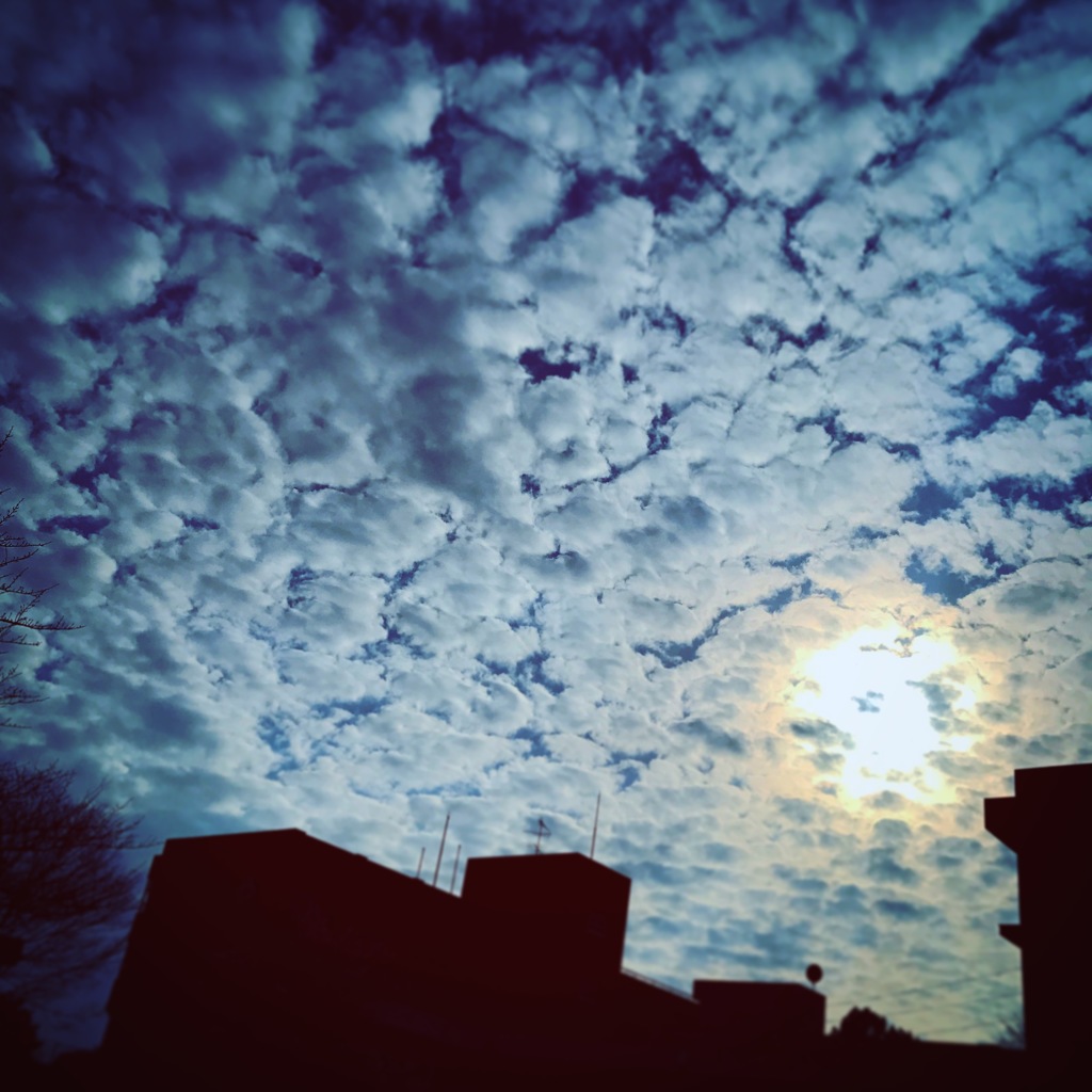 雲