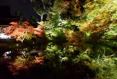 高台寺の紅葉