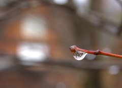 水滴の中の合掌造り