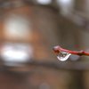 水滴の中の合掌造り