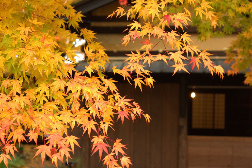 屋敷