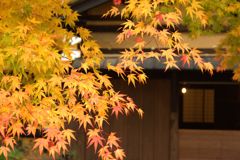 屋敷
