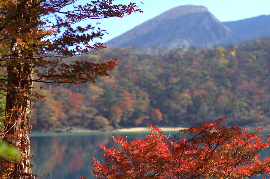湖のアシスト