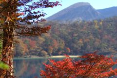 湖のアシスト