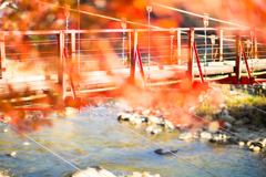 紅葉
