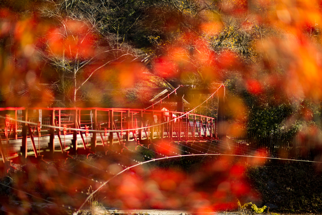 紅葉橋