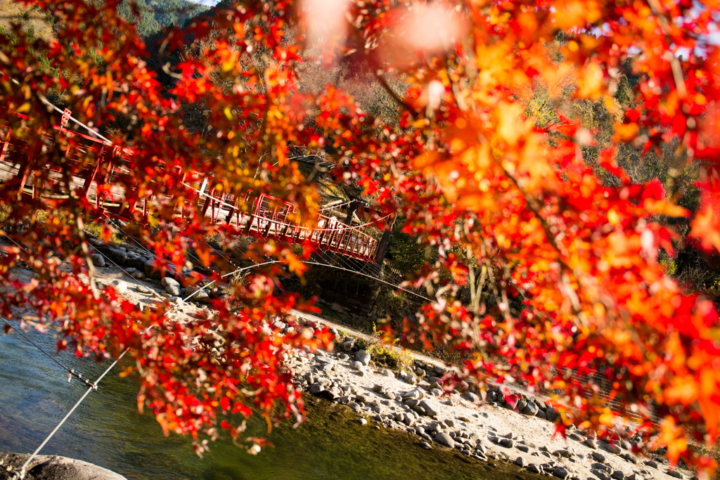 紅葉橋