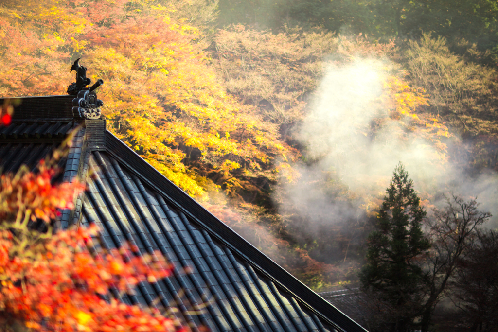 紅葉の寺院