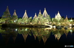 白鳥庭園ライトアップ