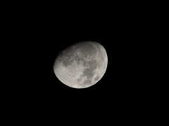 12月10日の月夜
