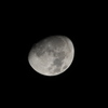 12月10日の月夜