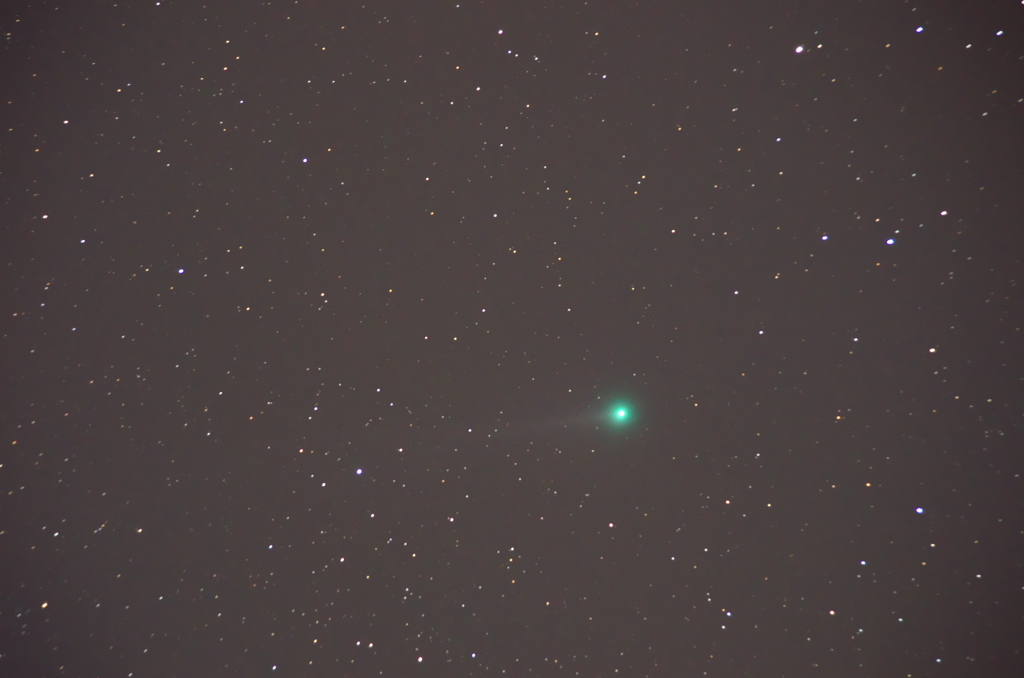 ラヴジョイ彗星 (C／2014 Q2)