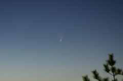 パンスターズ彗星(C／2011 L4)