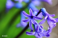 ～青の時代～