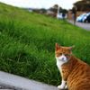 ～穏やかな時が流れて～