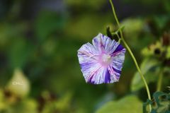 ～師走だけど～