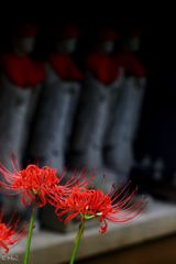 ～お彼岸～